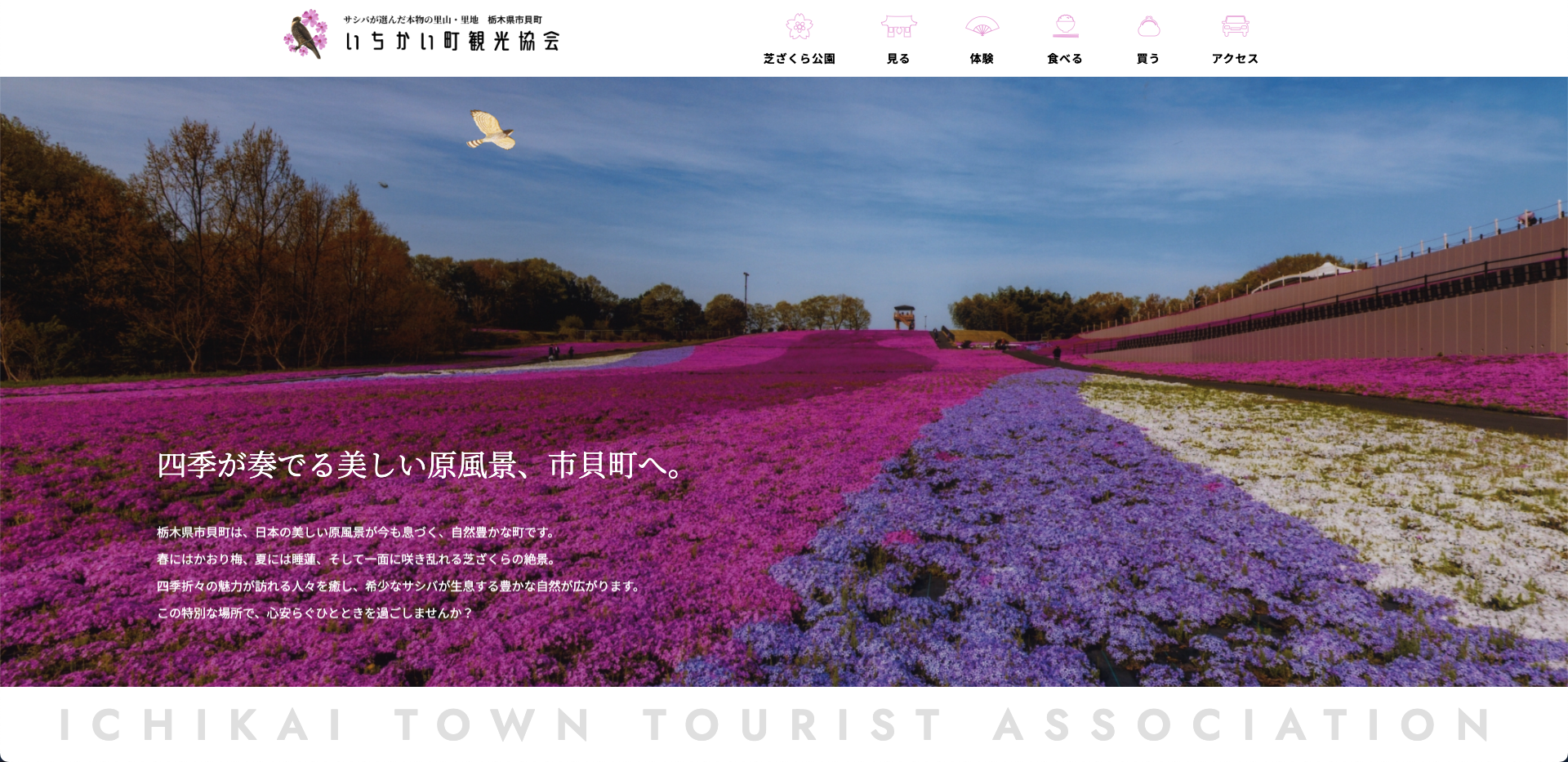 市貝町観光協会様